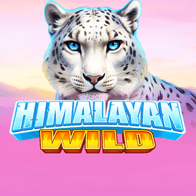 Himalayan Wild game screenshot