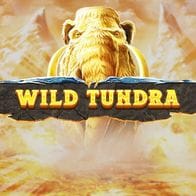 Wild Tundra game screenshot